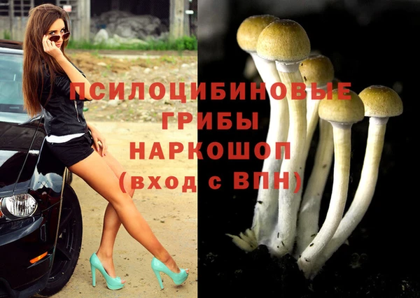 скорость Арсеньев